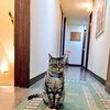 2023年1月の振り返りと読書記録