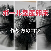 買ったり作ったり いろいろなメダカの産卵床 メダカと自転車とetc