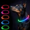 夜の散歩がまるでショータイム？！Sazuik 2025新登録 光る首輪で愛犬が主役になる驚きの秘密