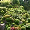 智積院・蓮華寺