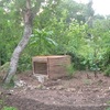 ヤギ小屋もうちょい