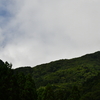 大暑に入る加持ヶ峰の遊山　夏山