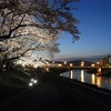 足羽川夜桜・愛宕坂