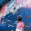 Disney Music＆FireWorks in 国営備北丘陵公園