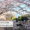 正福寺山公園　瀬戸内の景色と桜