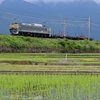 今日（５/２４）は、ＥＦ８１牽引の近江今津工臨！