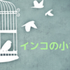 インコの小さな敵