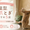 縦型猫爪とぎおすすめ5選｜立ったまま背伸びしてとげる壁・スタンドタイプを比較