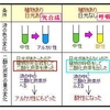  水草に炭酸ガスの添加は必要ですか？　その１