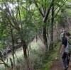 河童の日々遊山　田舎豆腐