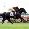 4回9日目阪神競馬代替開催予想