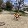 ムツゴロウ、愛嬌があって憎めないです。かわいいです。