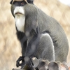 ときわ動物園で見た動物たち　山口県宇部市則貞