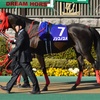 ＪＲＡ穴馬予想【京都競馬場全レース予想＆根岸ステークスＧⅢ】１月２８日（日）