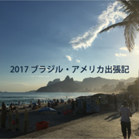 日本から地球の裏側ブラジルまで行くための3つの飛行機ルート 効率的で便利なルートと所要時間を検証 Pablomile Com