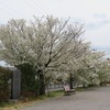 田園広場公園（東京都福生市）