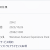 Windows 11  Insider Preview Build 25982.1000