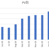 はてなブログの11か月目の運用結果！2021年3月のPVが落ち込んだ！ブログ関連の収入は？