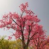 大きな進展が、有りました。