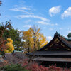 道明寺駅はあの菅原道真ゆかりの地だった。桜餅の"道明寺"と関係あるんか？