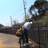 荒崎公園と富浦公園