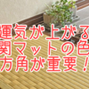 玄関マットは何色が良いの？玄関マットは大切な厄落とし道具