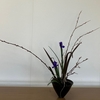 1月の花
