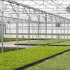 Commercial Greenhouse Market (2021-2026): Global Size, Share, Trends, Analysis & Research Report - IMARC Group