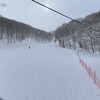 Ski Day 23-24 (12/30&1/1)