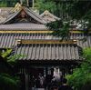 日光東照宮を写す【SONYα7Ⅲ × Sonnar T* FE 55mm F1.8 ZA SEL55F18Z 】