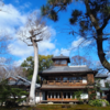 京都・奈良の～んびり旅行　２日目（京都編）その２　旧三井家下鴨別邸