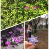 【幼稚園】ぜったい手を挙げないと決めて臨んだ保護者会。