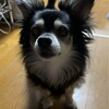 まろにー3512日目