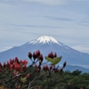 丹沢・大倉尾根から見た雪解けの富士山が美しい（２０２１年）