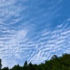 ひつじ雲は「明日は雨」のお知らせ雲