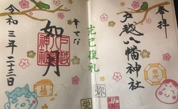 記事を見る