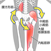 筋肉が縮みっぱなし？弛緩している？バランスが大事です