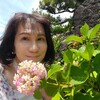 水無月の花めぐり🌼ハナショウブとスイレンを愛でに②四条烏丸「萬福」でランチを🍜植物園でまたまたバラを愛で、ハナショウブも堪能いたしました🙋‍♀️