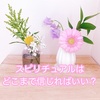 スピリチュアルはどこまで信じるべき？マイペースなゆるスピリチュアルのすすめ