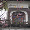 なごり雪「尾山神社」