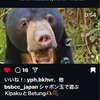 口に入れても安全なシャボン玉の作り方Edible bubbles
