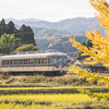 色づくイチョウと富山地鉄