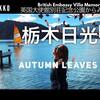 中禅寺湖【空撮ドローン栃木県】 日光の紅葉に海外の人も圧巻!！