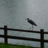 カドイケ公園にて