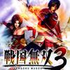 #1600 『旗幟鮮明 -関ヶ原-』（稲毛謙介／戦国無双3／Wii）