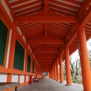 狂信と哲学