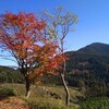 女岳に登りました