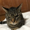 伊豆を半周しながらオープンしたてのカワズーを楽しみます。