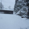 *終日、断続的に降る雪？