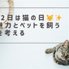 2月22日は猫の日🐱✨ 猫の魅力とペットを飼う現実を考える